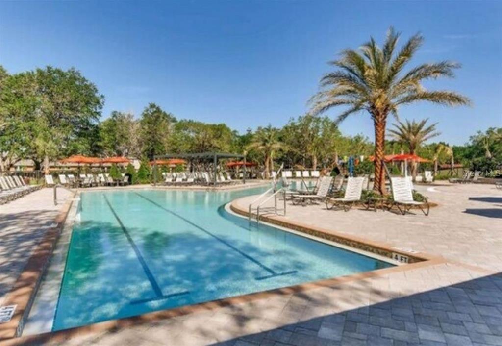 1729 Bull Hill Road Kissimmee, FL 34744 - Photo 25 of 34 a view of a swimming pool with a lawn chairs and palm tree