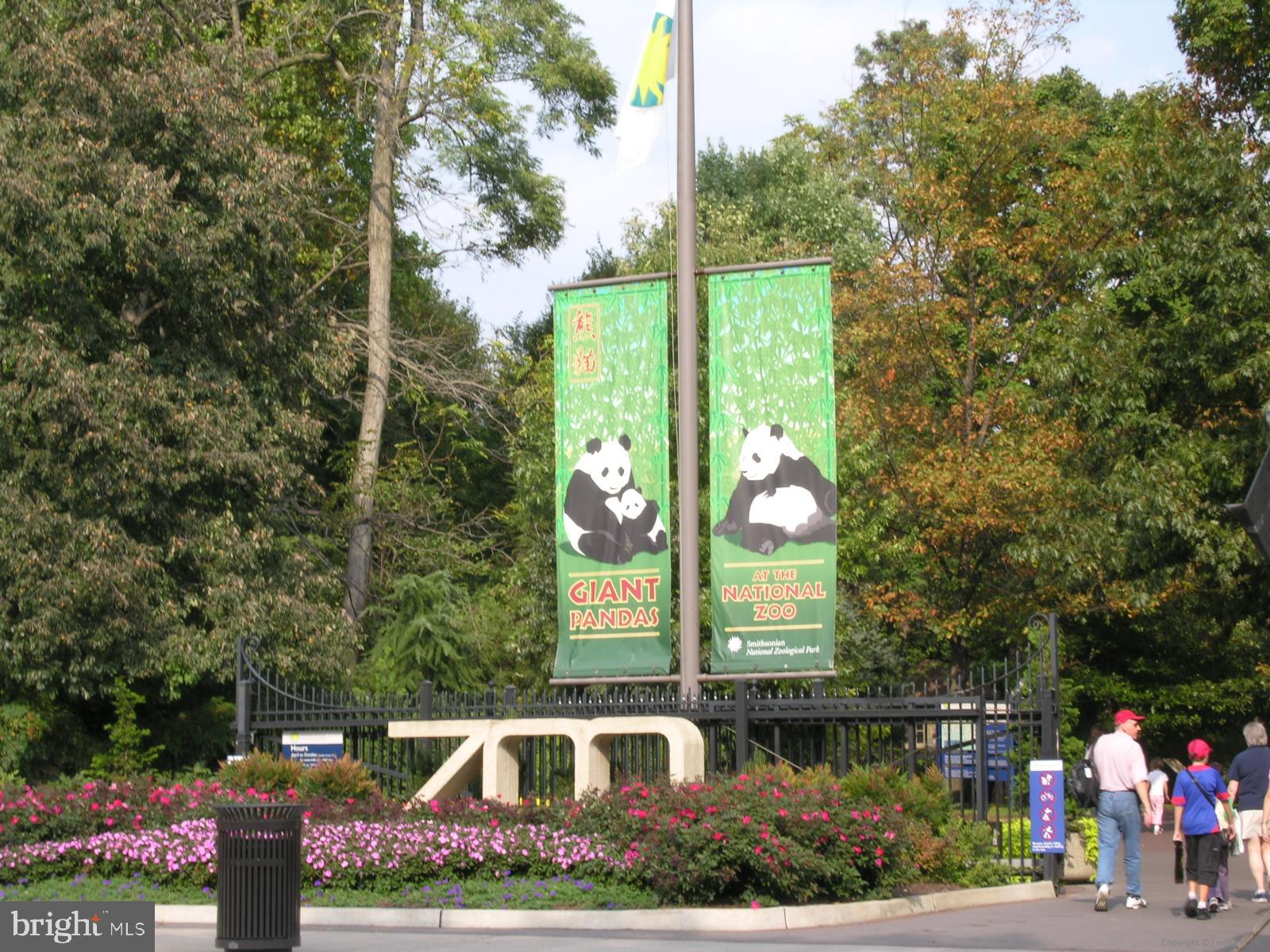 2303 17th Street Northwest, Unit 2 Washington, DC 20009 - Photo 30 of 65 National Zoo/Woodley Park Zoo