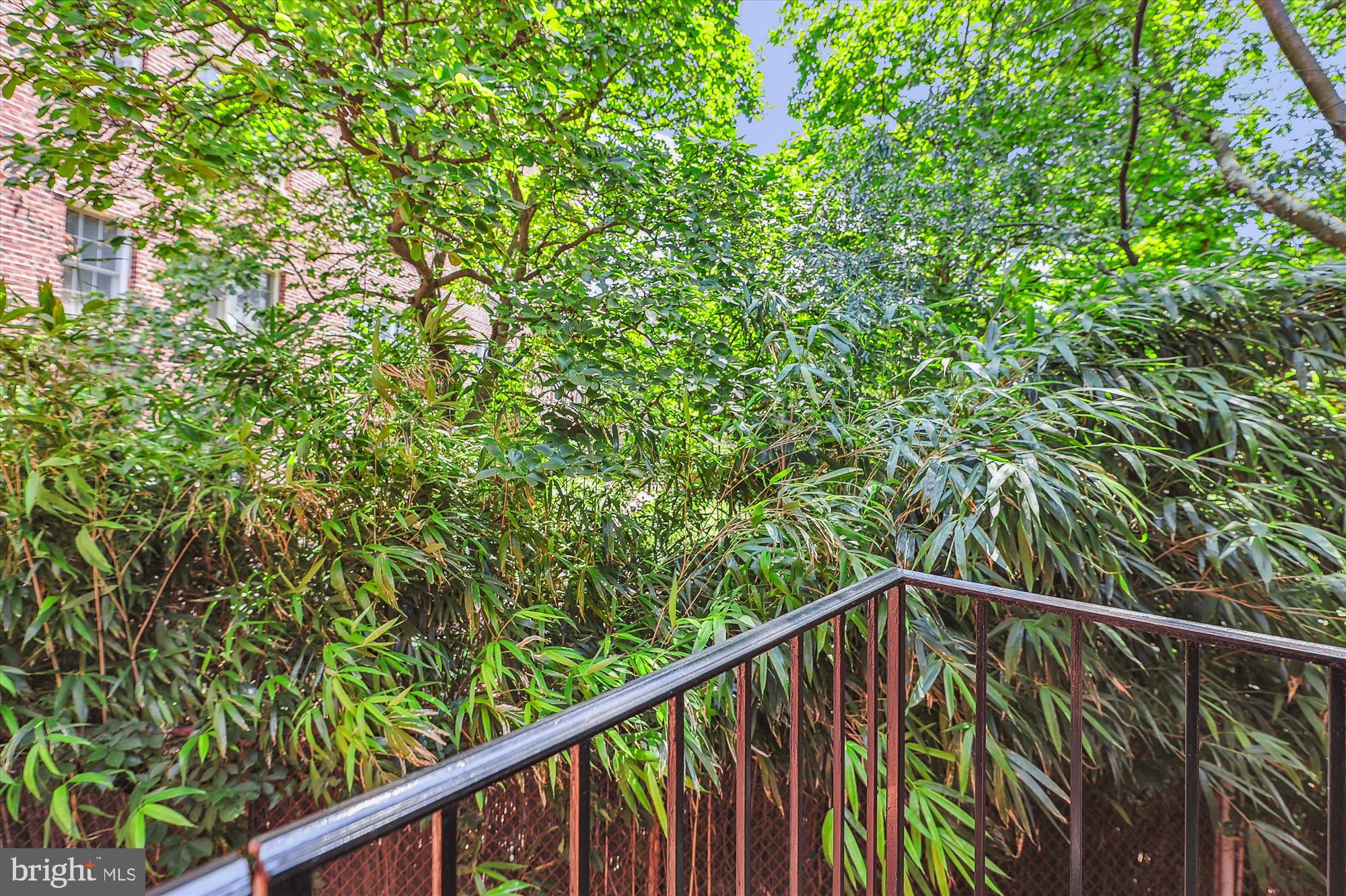 2303 17th Street Northwest, Unit 2 Washington, DC 20009 - Photo 9 of 65 Juliet Balcony with tree views!