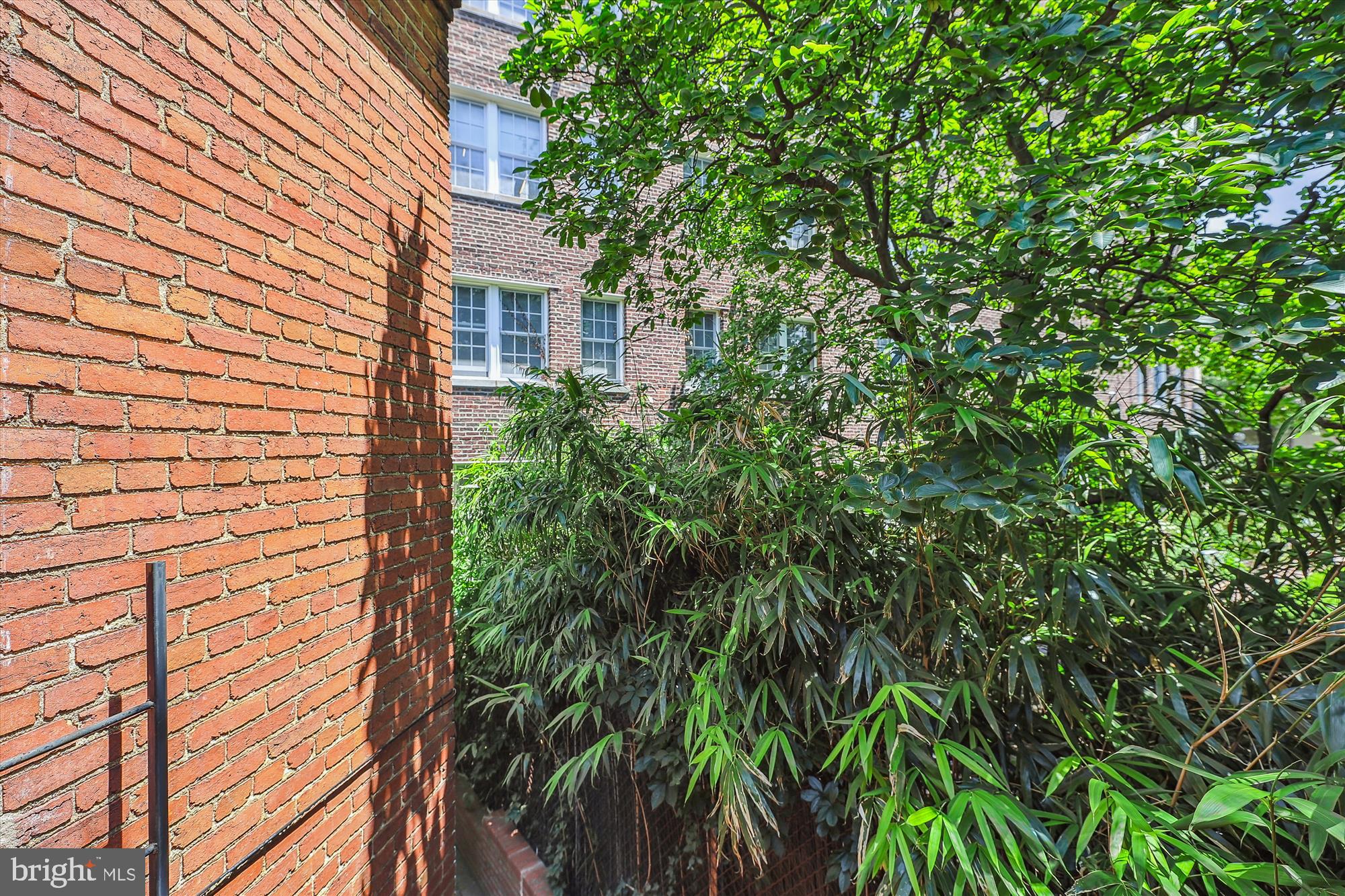 2303 17th Street Northwest, Unit 2 Washington, DC 20009 - Photo 10 of 65 A Little Oasis off the Balcony!