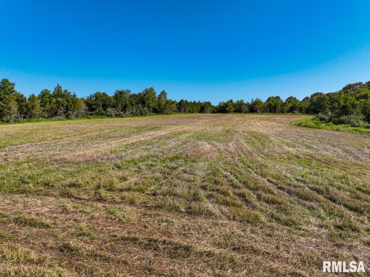 0 Tom Dick Hill Road Stonefort, IL 62987 - Photo 9 of 62