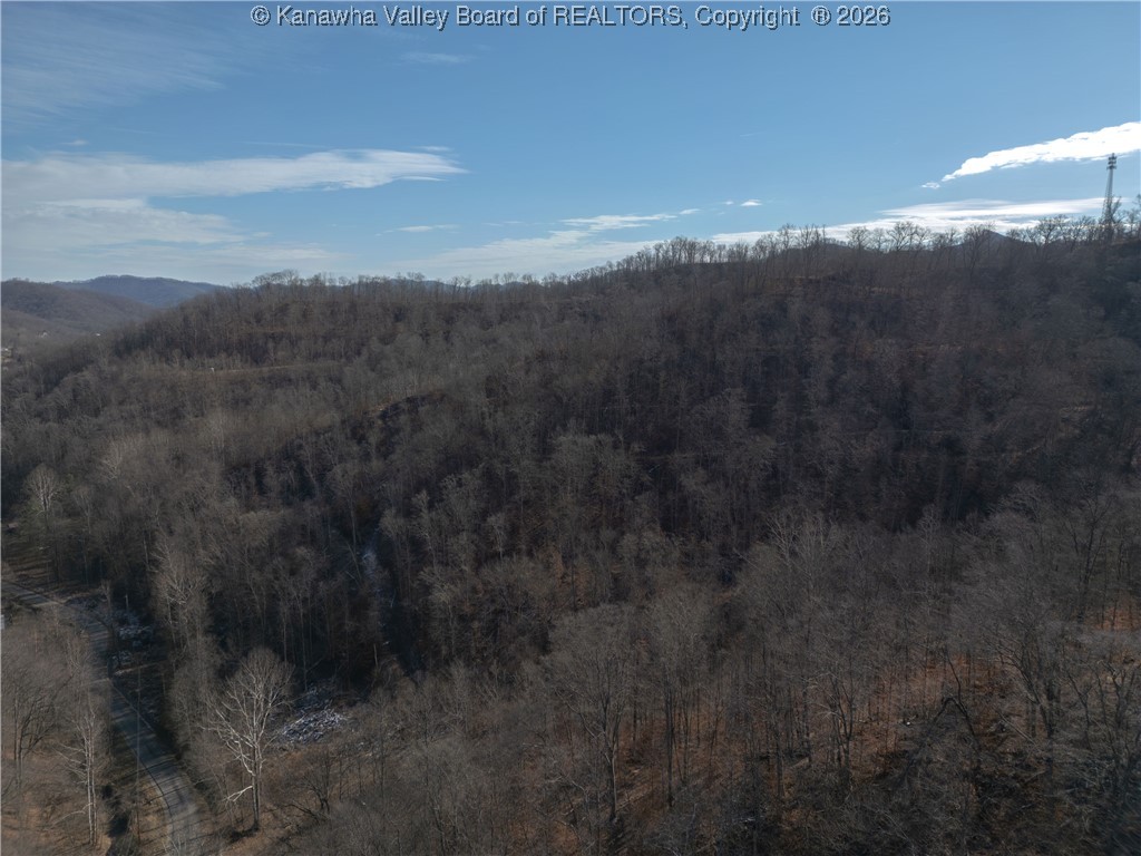 827 Caney Branch Road Chapmanville, WV 25508 - Photo 16 of 18 Gallery Image 16