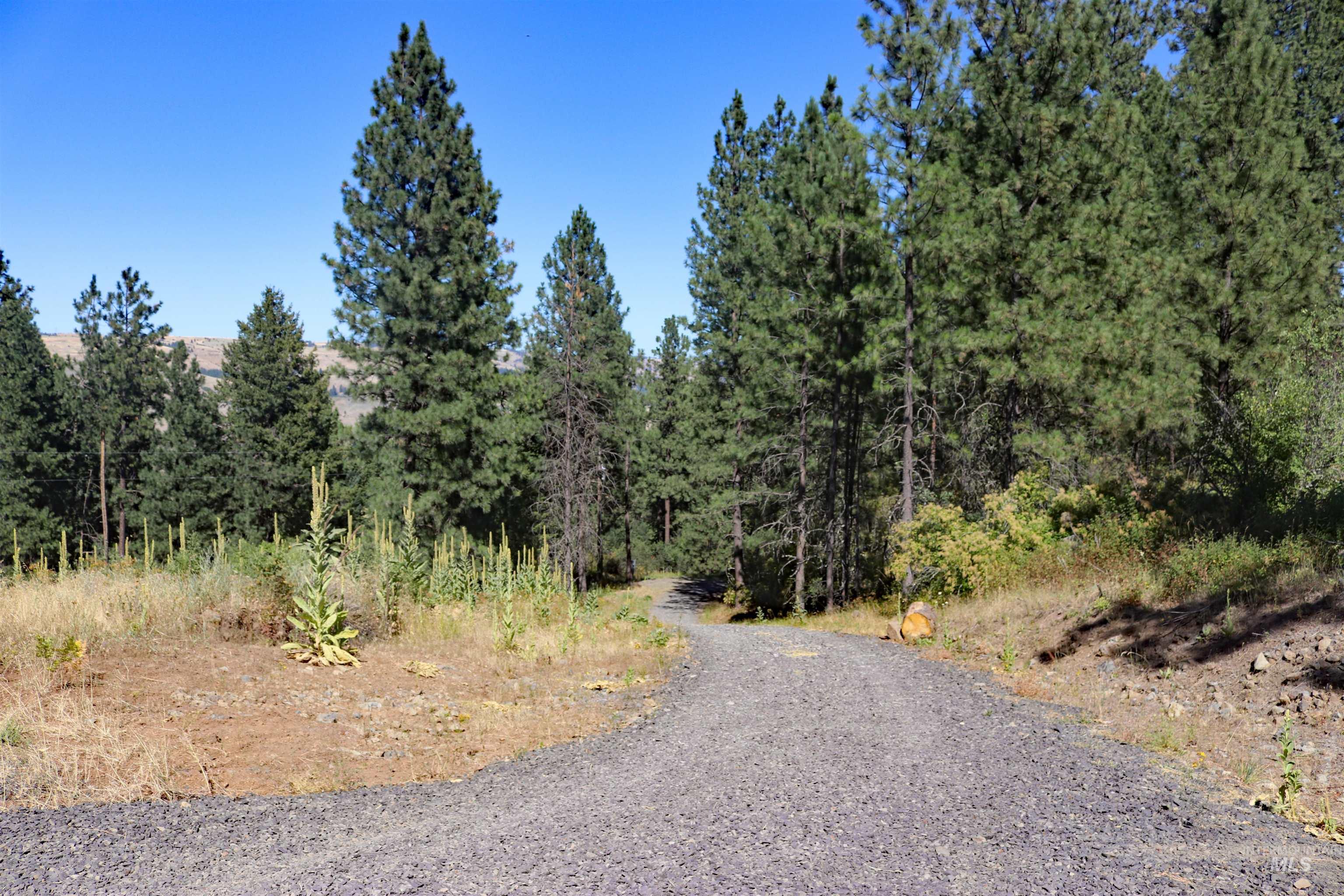 37596 Eberhardt Road Lenore, ID 83541 - Photo 7 of 48