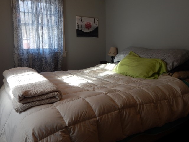 667 Rhododendron Road Fitzwilliam, NH 03447 - Photo 12 of 27