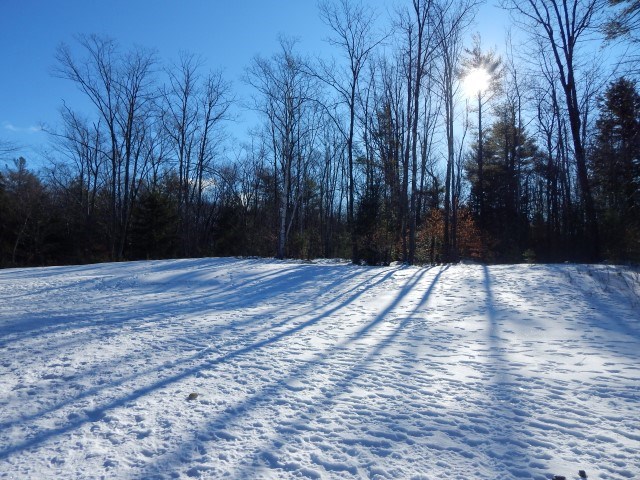 667 Rhododendron Road Fitzwilliam, NH 03447 - Photo 22 of 27