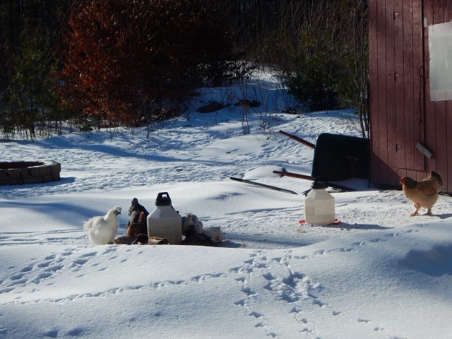667 Rhododendron Road Fitzwilliam, NH 03447 - Photo 26 of 27