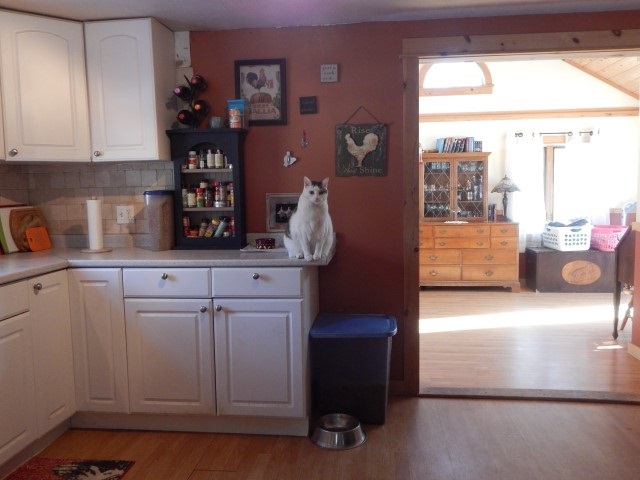 667 Rhododendron Road Fitzwilliam, NH 03447 - Photo 7 of 27