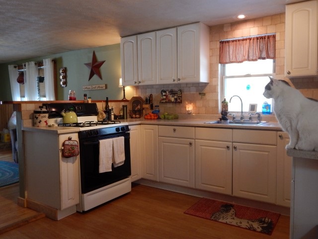 667 Rhododendron Road Fitzwilliam, NH 03447 - Photo 9 of 27