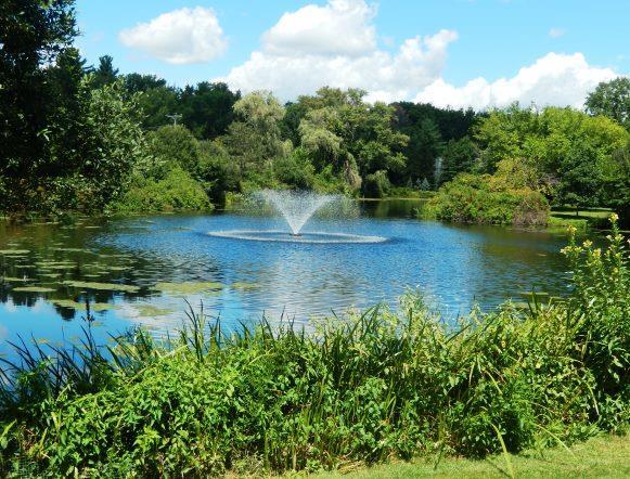 7 Blueberry Lane, Unit 7 Ridgefield, CT 06877 - Photo 1 of 1 a view of a lake view with houses in back