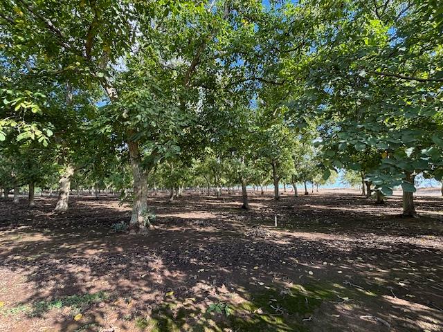 a fire hydrant in the middle of a field