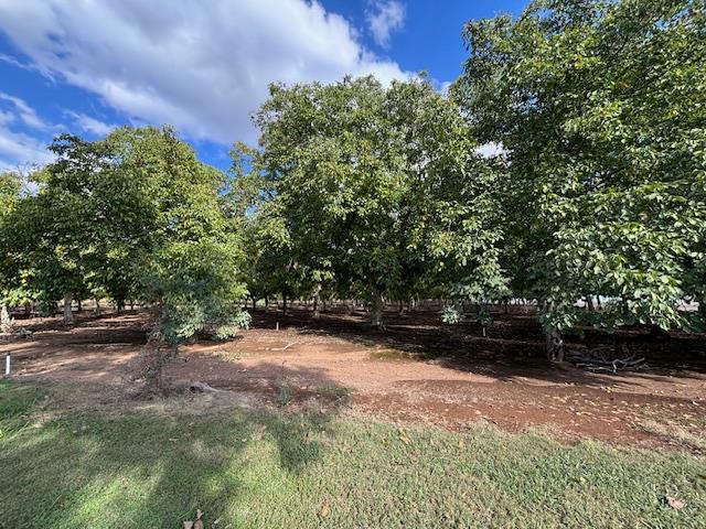 0 Gallagher Road Rio Oso, CA 95674 - Photo 2 of 7 a view of backyard with green space