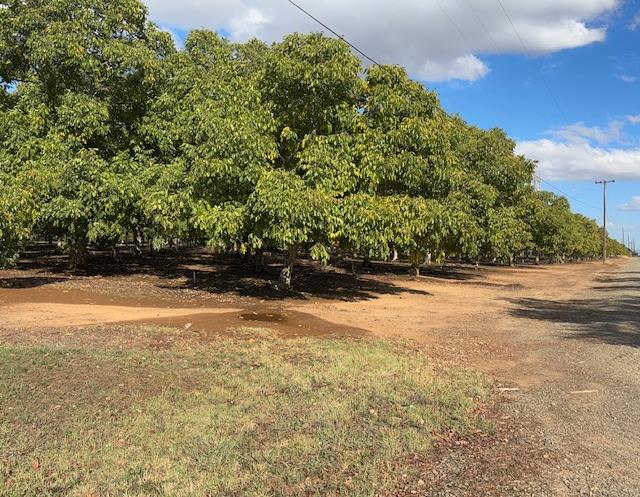 0 Gallagher Road Rio Oso, CA 95674 - Photo 5 of 7