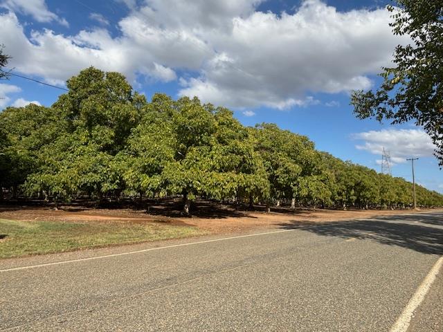 0 Gallagher Road Rio Oso, CA 95674 - Photo 6 of 7 a view of a terrace space