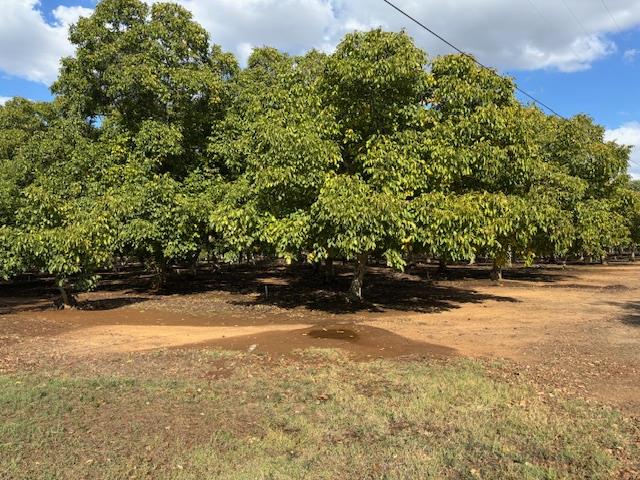 0 Gallagher Road Rio Oso, CA 95674 - Photo 7 of 7 a view of water yard