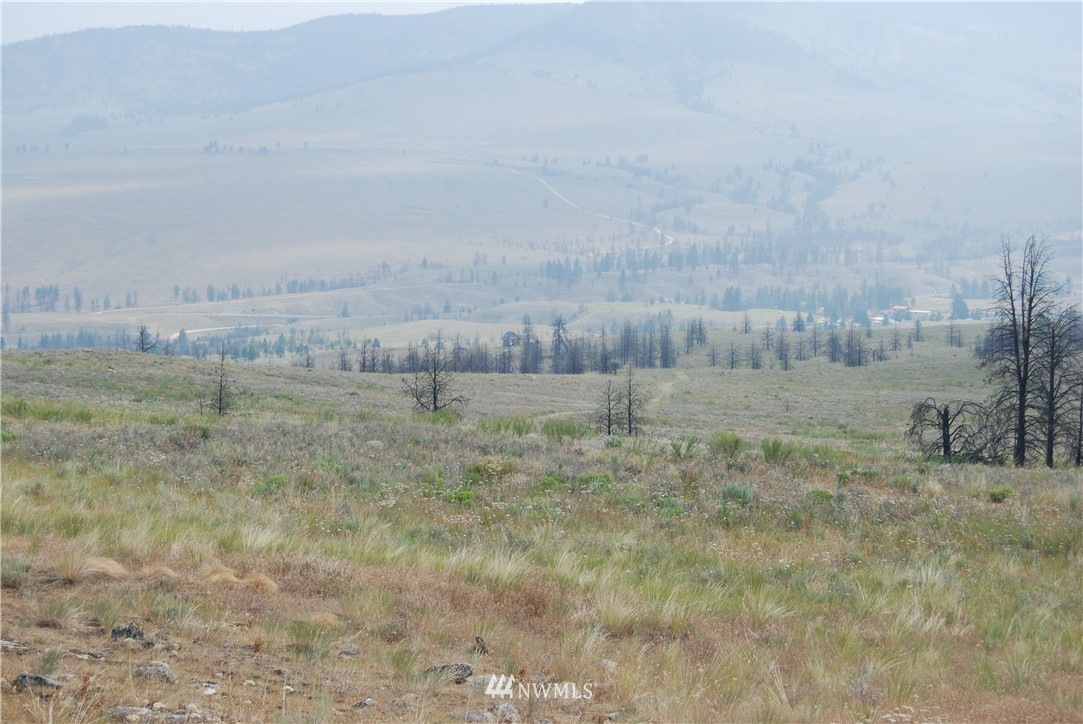 100002 Hosheit Road Riverside, WA 98849 - Photo 2 of 20 Gallery Image 2