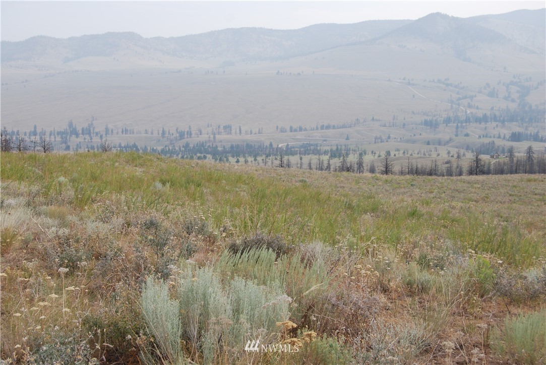 100002 Hosheit Road Riverside, WA 98849 - Photo 11 of 20 Gallery Image 11