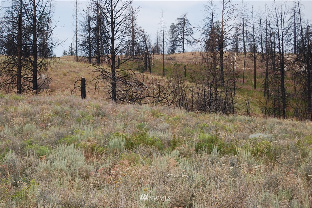 100002 Hosheit Road Riverside, WA 98849 - Photo 13 of 20 Gallery Image 13