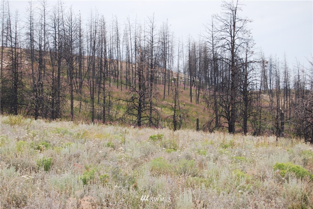 100002 Hosheit Road Riverside, WA 98849 - Photo 14 of 20 Gallery Image 14