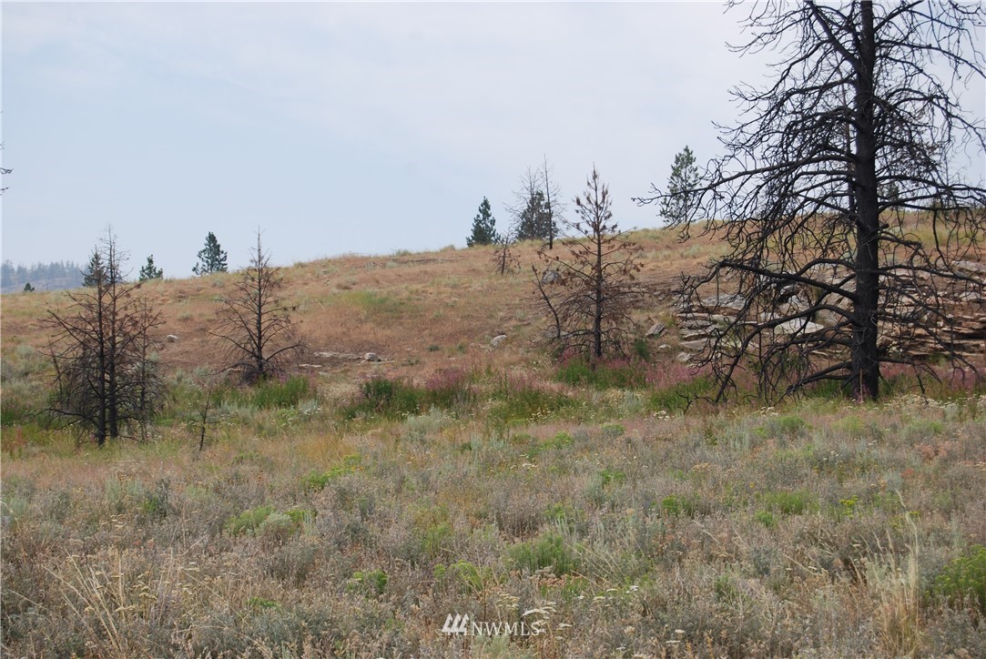 100002 Hosheit Road Riverside, WA 98849 - Photo 15 of 20 Gallery Image 15