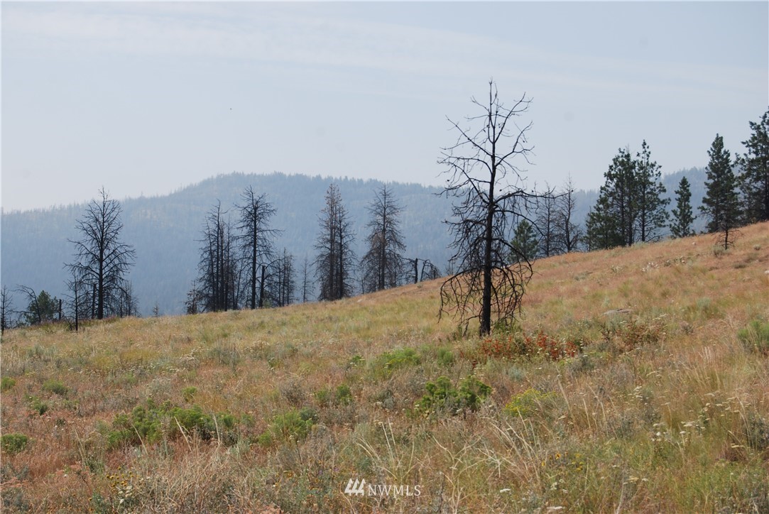 100002 Hosheit Road Riverside, WA 98849 - Photo 17 of 20 Gallery Image 17