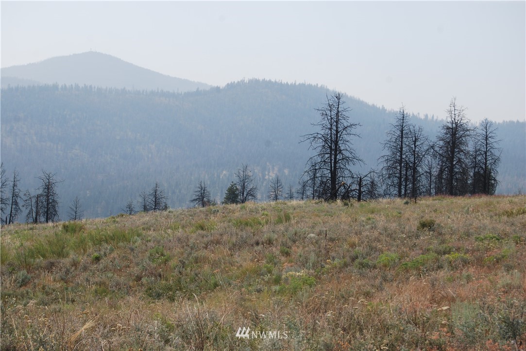 100002 Hosheit Road Riverside, WA 98849 - Photo 19 of 20 Gallery Image 19