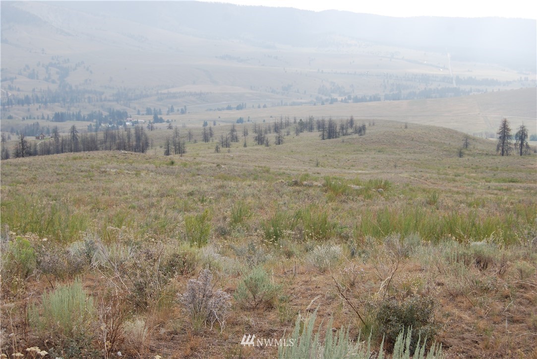100002 Hosheit Road Riverside, WA 98849 - Photo 10 of 20 Gallery Image 10