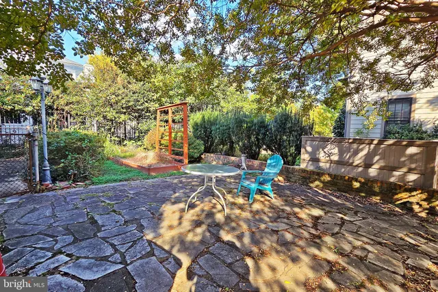 a view of a yard with plants and trees