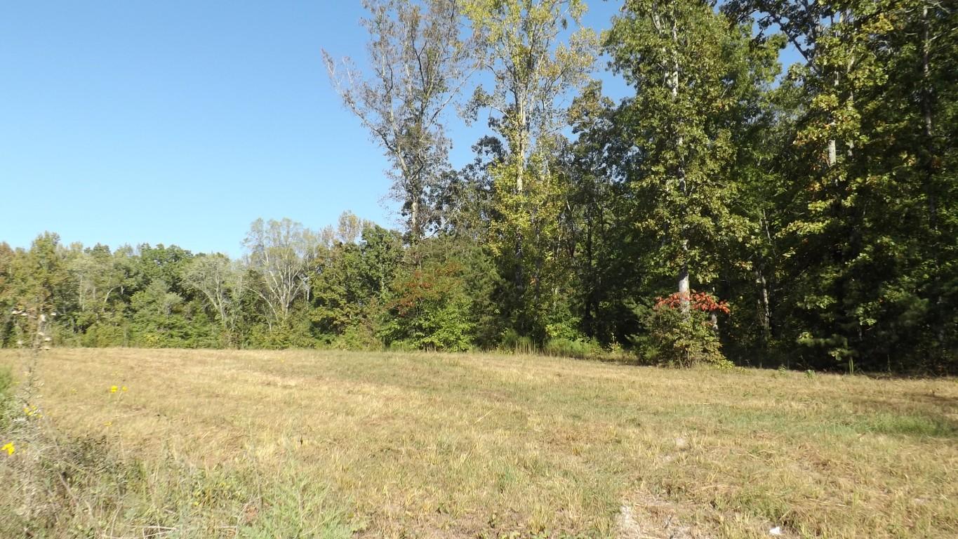 4.8-acres McCabe Road Spring City, TN 37381 - Photo 3 of 16 McCabe Road 4
