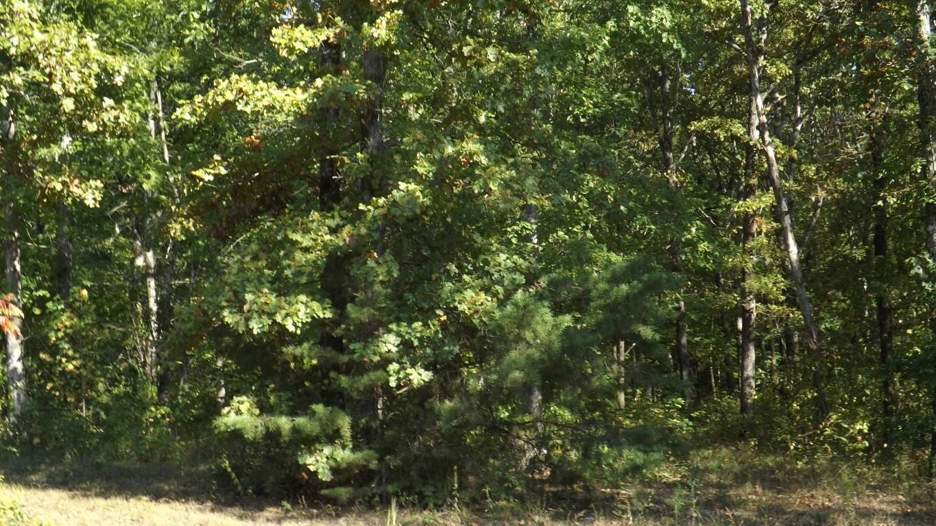 4.8-acres McCabe Road Spring City, TN 37381 - Photo 4 of 16 McCabe Road 4