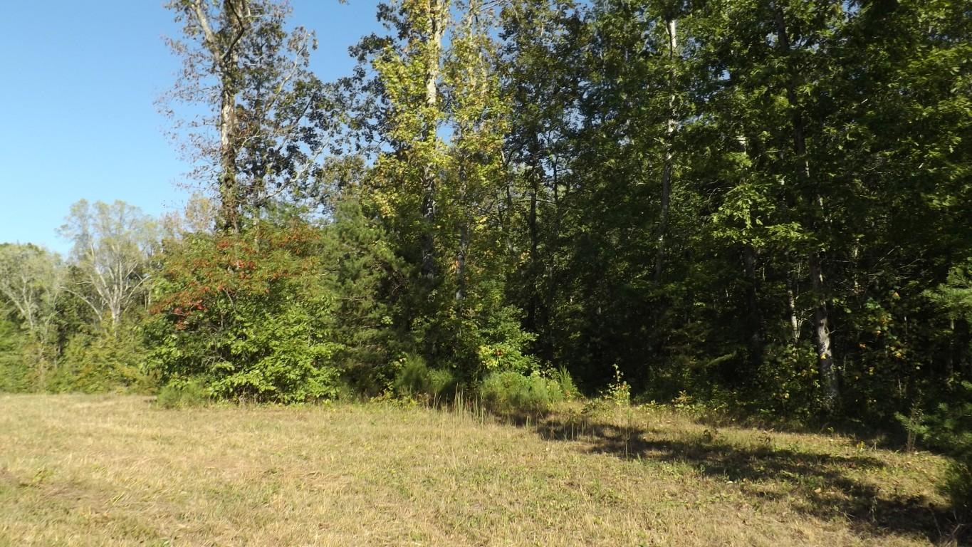 4.8-acres McCabe Road Spring City, TN 37381 - Photo 5 of 16 McCabe Road 4