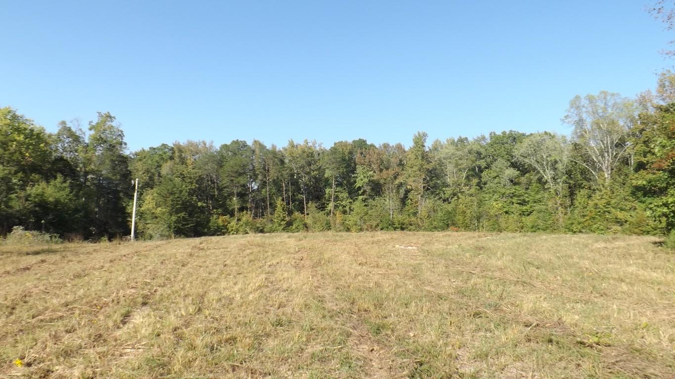4.8-acres McCabe Road Spring City, TN 37381 - Photo 6 of 16 McCabe Road 4