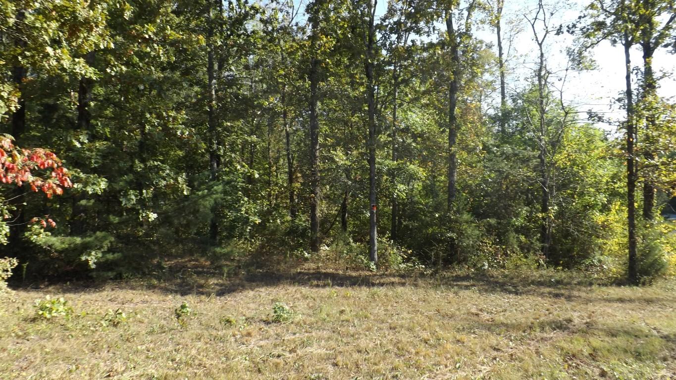 4.8-acres McCabe Road Spring City, TN 37381 - Photo 7 of 16 McCabe Road 4