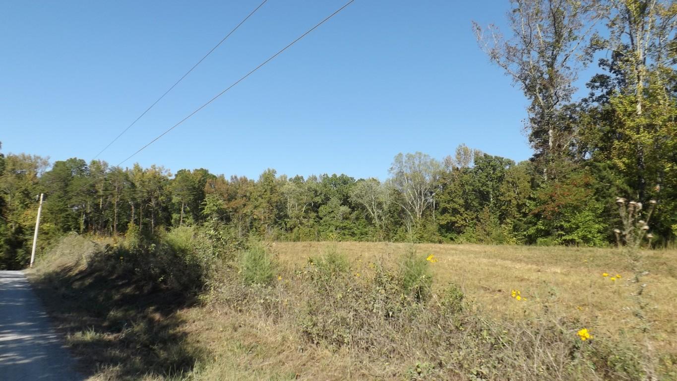 4.8-acres McCabe Road Spring City, TN 37381 - Photo 9 of 16 McCabe Road 4