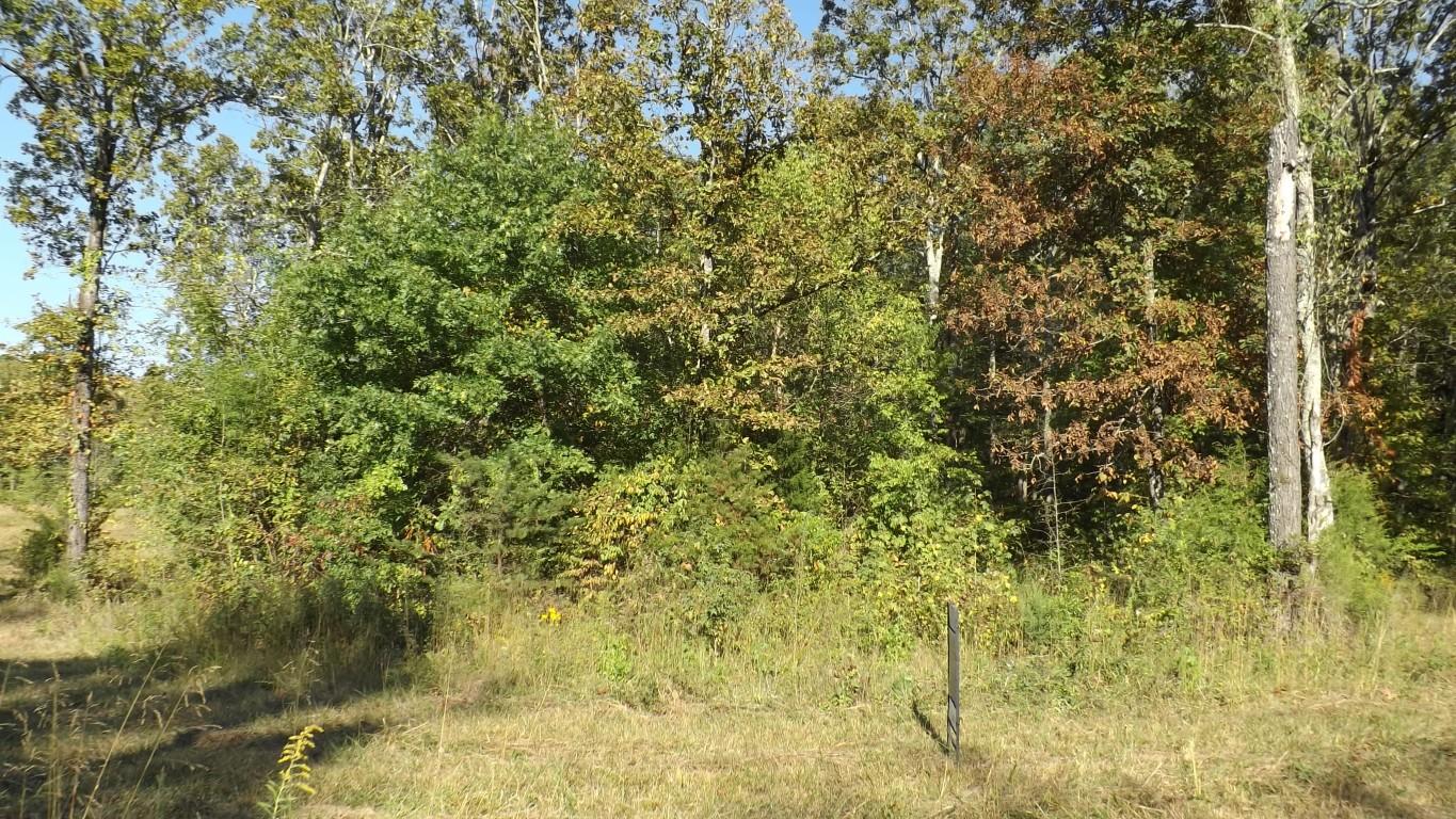 4.8-acres McCabe Road Spring City, TN 37381 - Photo 10 of 16 McCabe Road 4