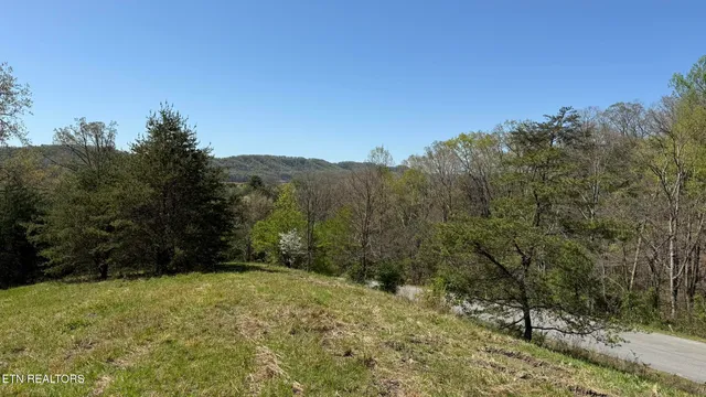 $59,000 | Lot 52 Bayside Boulevard, Bean Station, TN 37708