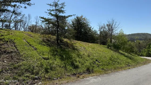 $59,000 | Lot 52 Bayside Boulevard, Bean Station, TN 37708