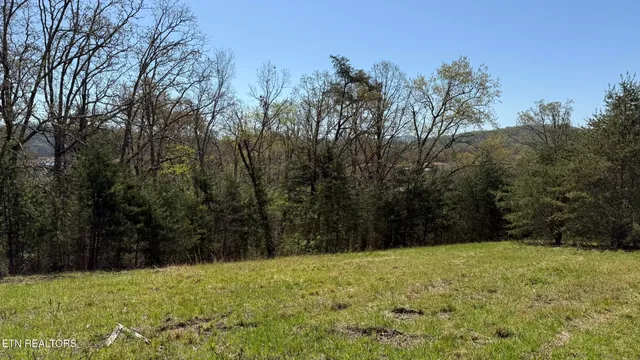 $59,000 | Lot 52 Bayside Boulevard, Bean Station, TN 37708