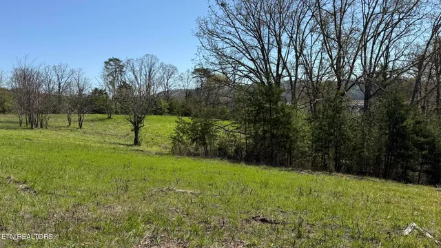 $59,000 | Lot 52 Bayside Boulevard, Bean Station, TN 37708
