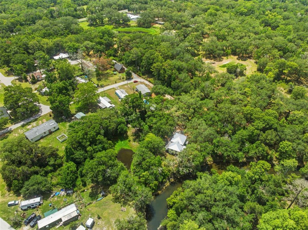 3183 Cedley Road Dade City, FL 33523 - Photo 35 of 48 view of a house with a lush green forest