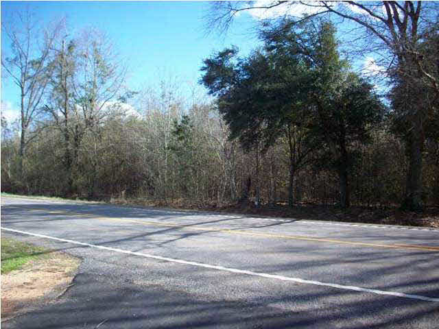 12590 Highway 31 Atmore, AL 36502 - Photo 1 of 1