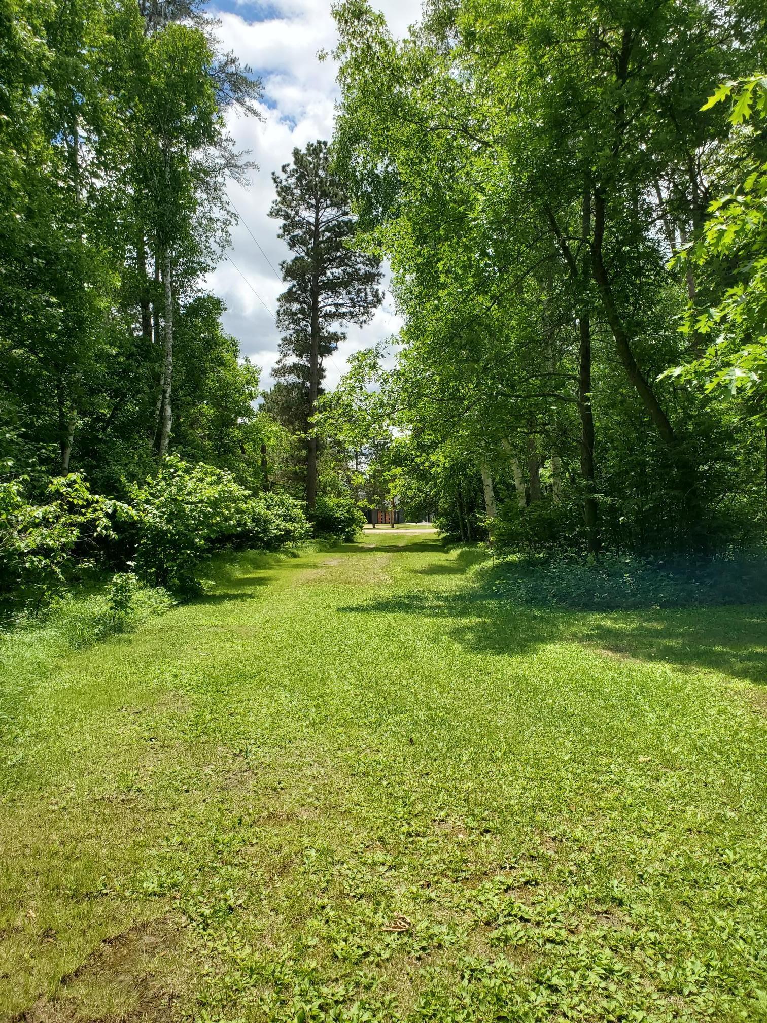 9308 Ossawinnamakee Road Pequot Lakes, MN 56472 - Photo 3 of 6