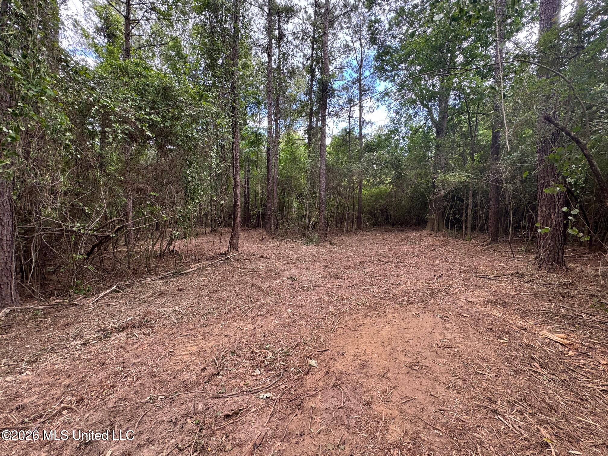 0 Elarton Road Magnolia, MS 39652 - Photo 26 of 27 Mulched trail