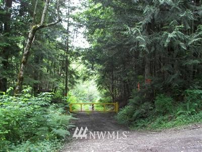 235 Blue Mountain Road Sedro-Woolley, WA 98284 - Photo 1 of 1 Gallery Image 1
