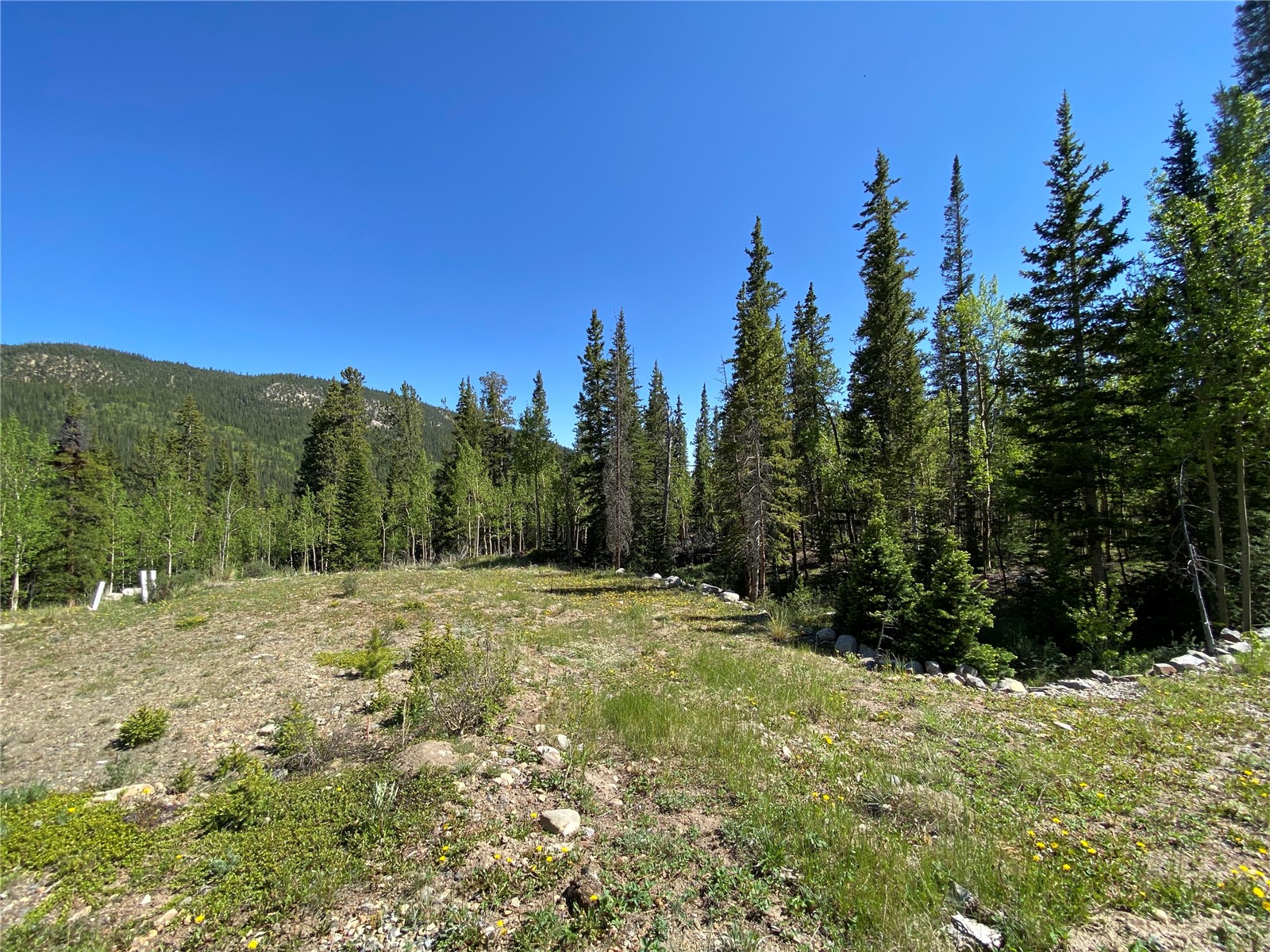 522 Quartzville Road Alma, CO 80420 - Photo 21 of 46
