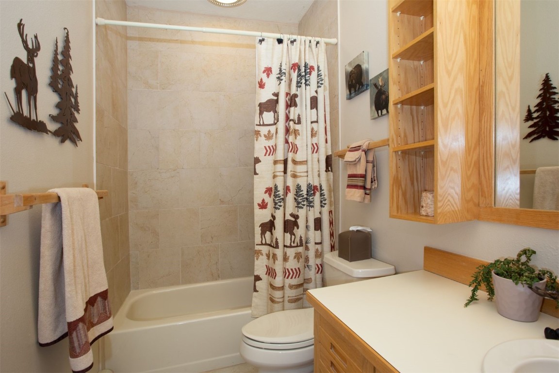 91400 Ryan Gulch Road, Unit 419 Silverthorne, CO 80498 - Photo 17 of 34 a bathroom with a sink toilet and shower