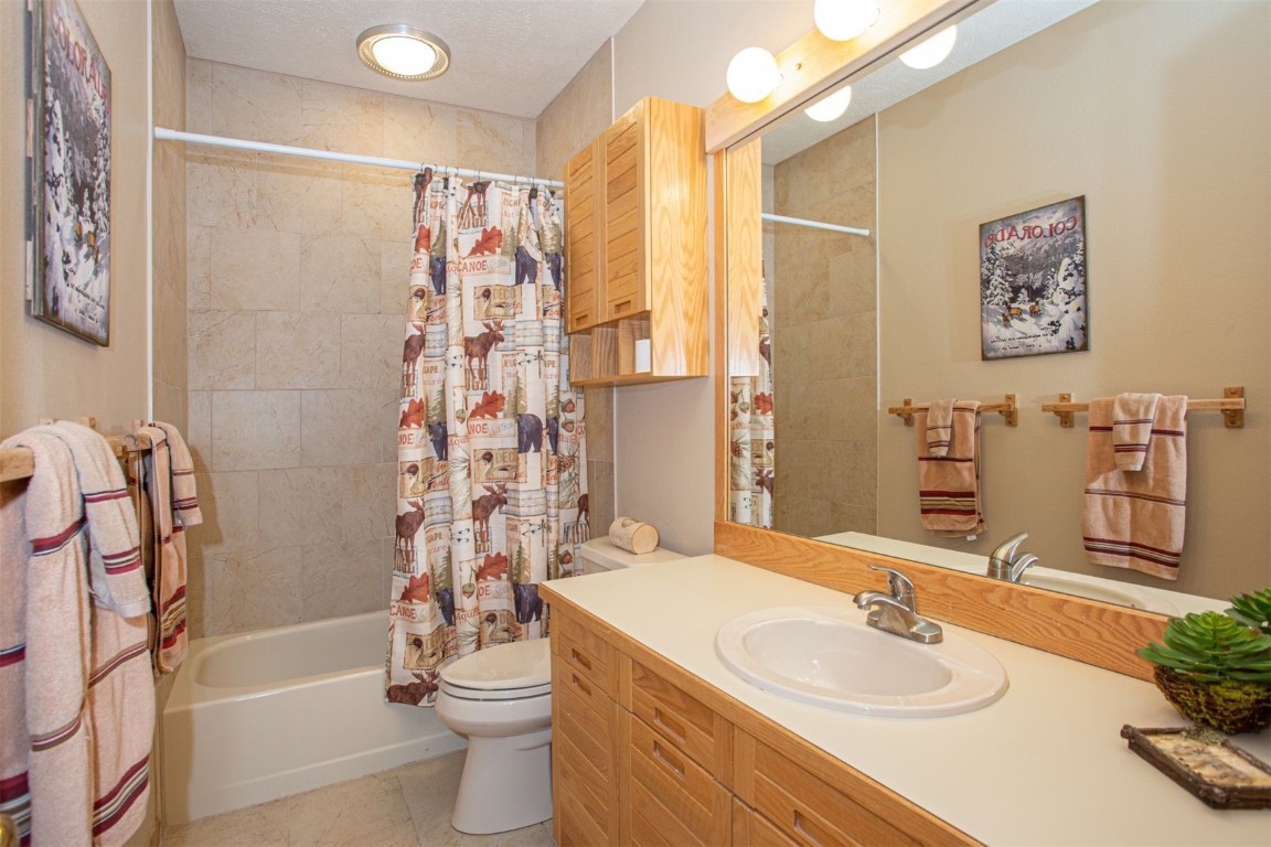 91400 Ryan Gulch Road, Unit 419 Silverthorne, CO 80498 - Photo 18 of 34 a bathroom with a sink a toilet and shower
