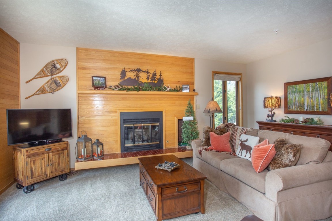 91400 Ryan Gulch Road, Unit 419 Silverthorne, CO 80498 - Photo 3 of 34 a living room with furniture and a flat screen tv