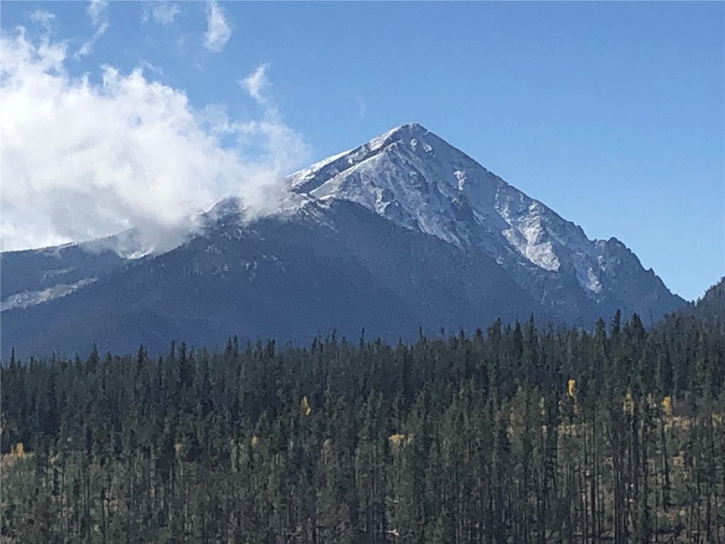 91400 Ryan Gulch Road, Unit 419 Silverthorne, CO 80498 - Photo 32 of 34 a view of a dry yard with a wooden fence