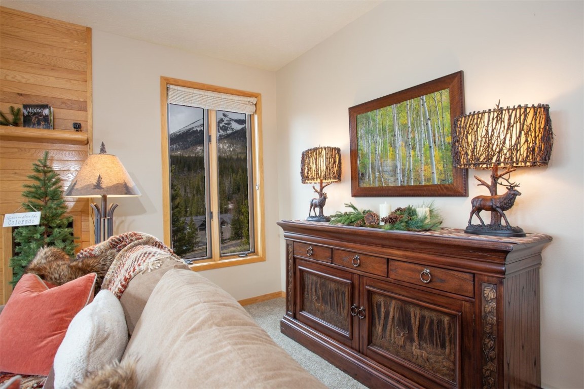 91400 Ryan Gulch Road, Unit 419 Silverthorne, CO 80498 - Photo 4 of 34 a bed sitting in a bedroom next to a window