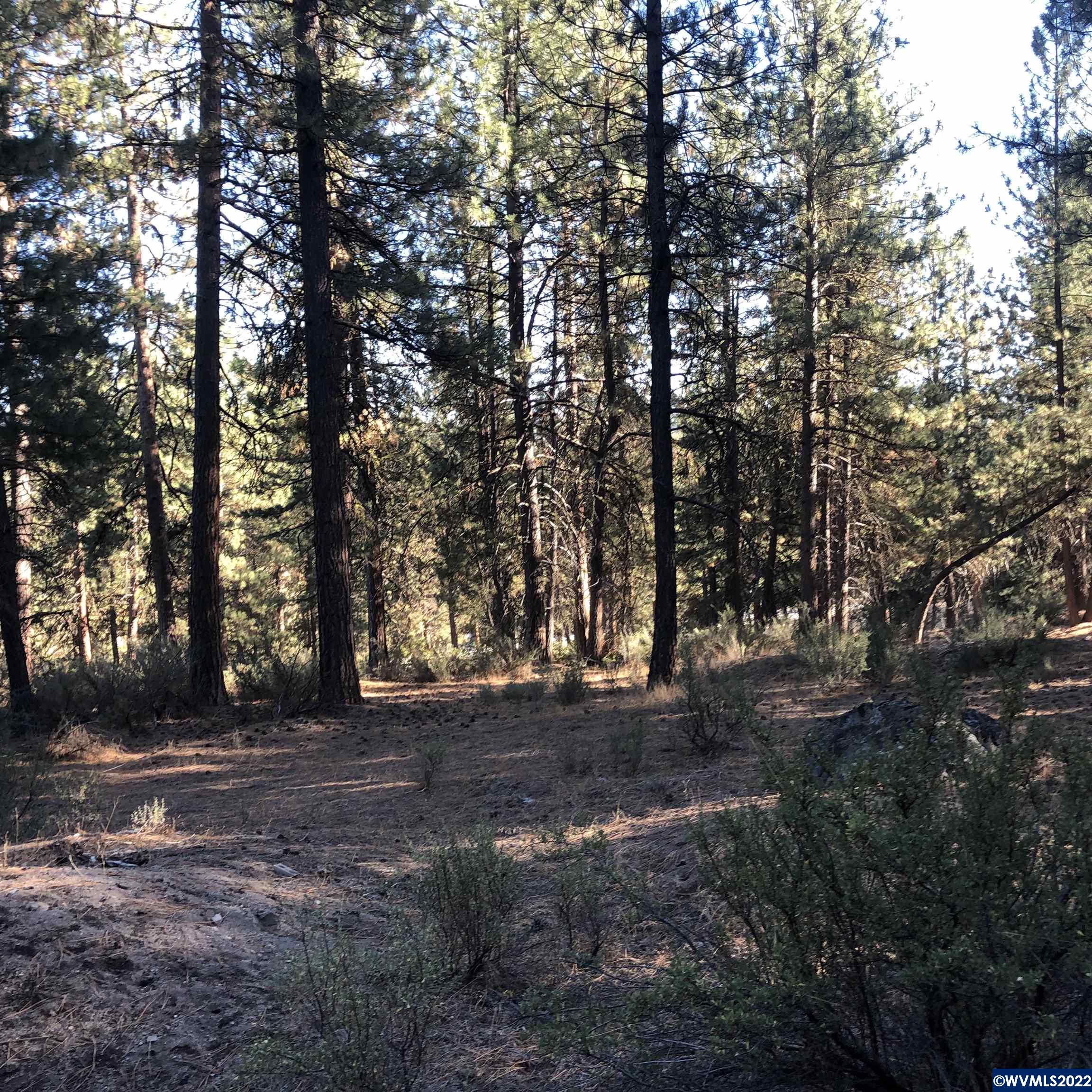 Lot 16 Stillwater Way Chiloquin, OR 97624 - Photo 1 of 7